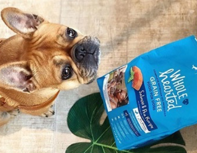 Grain free dog outlet food fda warning