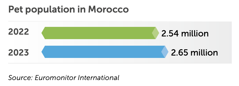 Pet population in Morocco