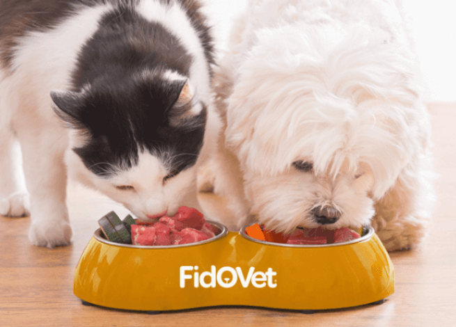 global pet food ellesmere