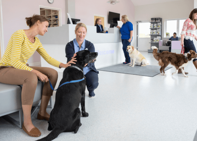 L Catterton invests in Japanese vet sector