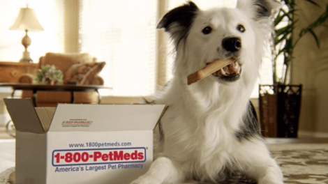 PetMed Express posts “disappointing” earnings in the first quarter of 2022  | GlobalPETS