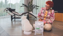 100% pet care: a commitment to wellness