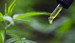 Hemp oil: A controversial ingredient?