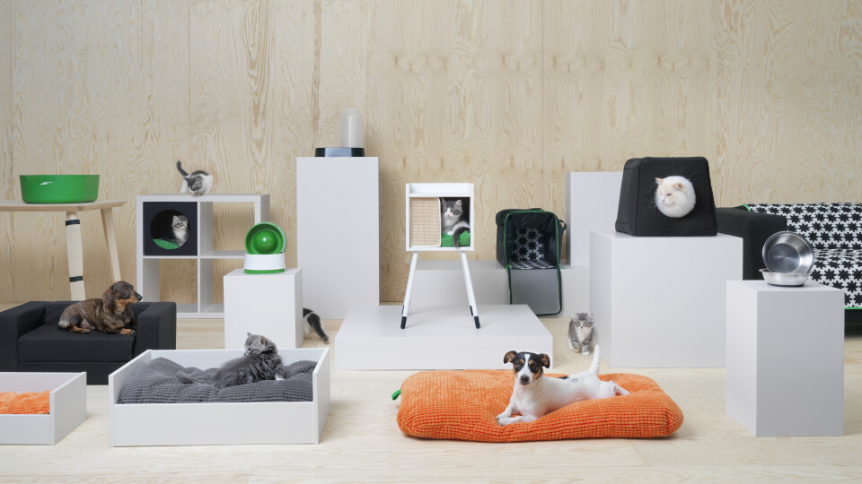 IKEA Home for pets and pet parents