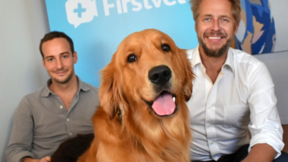 Swedish digital vet FirstVet launches in the US, supported by new €29.5 million funding round 