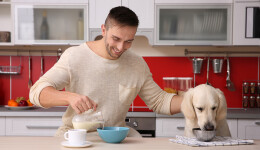 Ready meals for pet and owner?