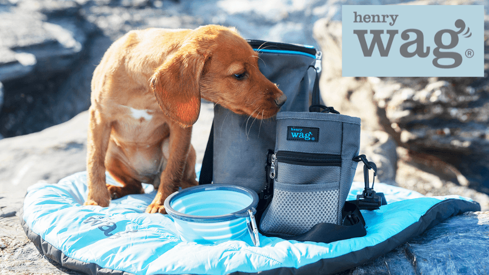 Henry Wag Travel Accessories