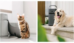 Unlocking convenience in pet care: the Litter Genie® and Pet GenieTM revolution