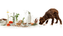 Pet food assurance
