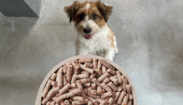 Q-Petfood makes frozen fresh meat suitable for small and medium-sized dogs and cats
