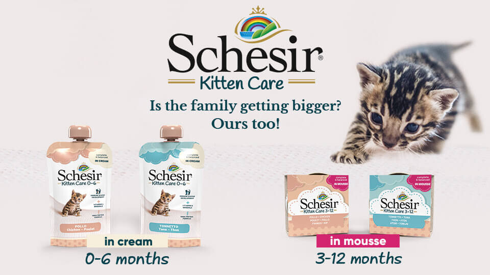 Schesir Kitten Care line