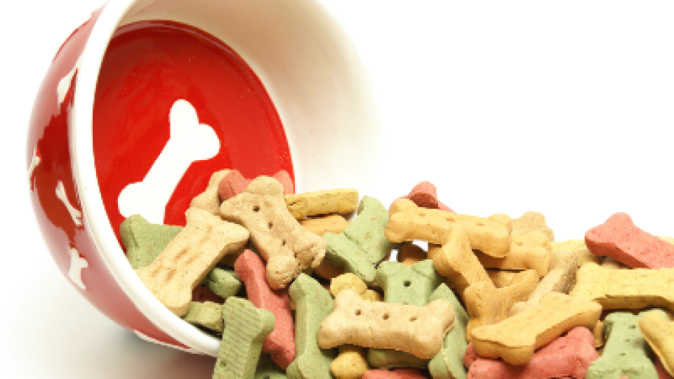 New pet food launches down, opportunity for innovation remains