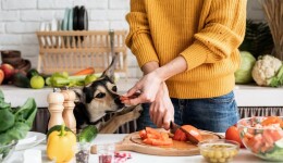 What’s in store for vegan pet food in 2024?