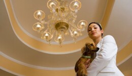 Pampered pets: The rising demand for luxury