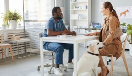 US pet owners prefer face-to-face veterinary visits