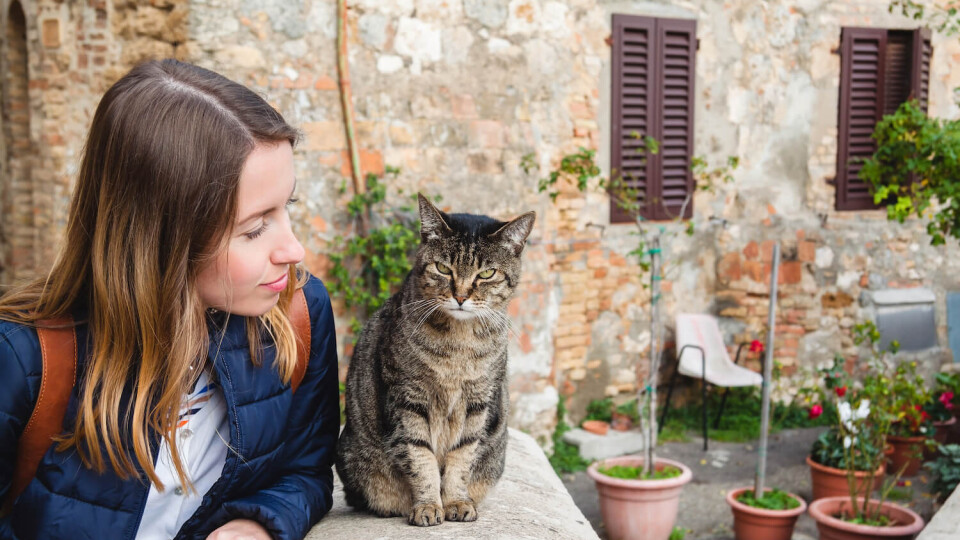Italy, a pet lovers’ country