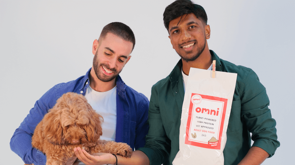 UK plant-based dog food startup considers expansion after investment round