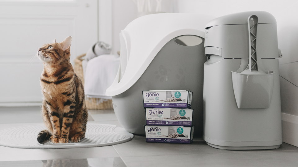 Hassle-free solution for controlling cat litter odors
