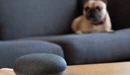 Voice products for dogs