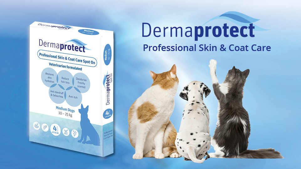 Dermaprotect Skin & Coat Care