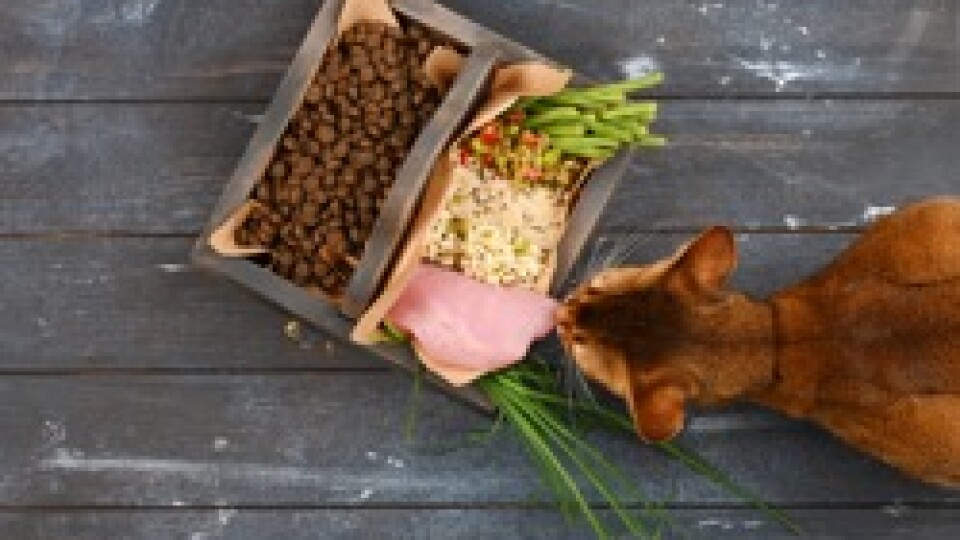 The next pet food? A look back and forward