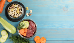 Claims regarding raw pet food: reality and myths