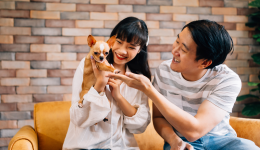 Pet industry in South East Asia – from pet lovers to pet parents