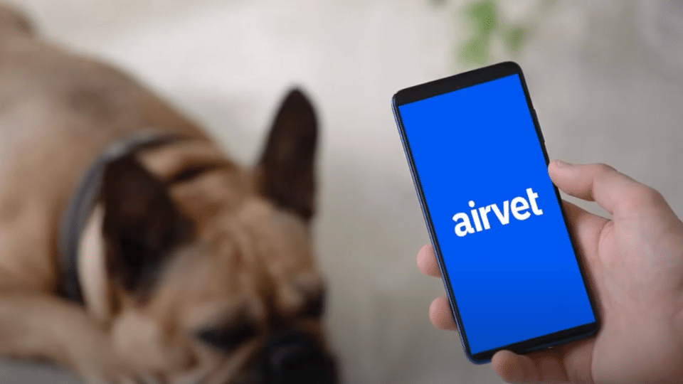Airvet closes $18.2 million funding round