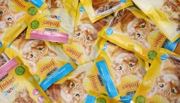 The pet food industry’s sustainable recipes for packaging