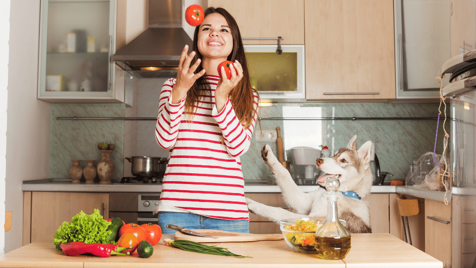 Alternative pet diets: who’s trying them and why?