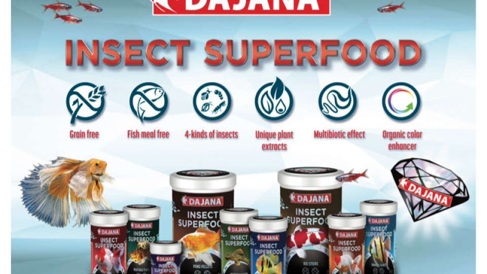 Insect superfood