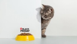 How pet food fared in Black Friday week
