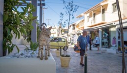 Digging down into pet ownership across Greece
