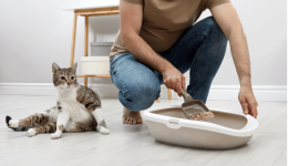 Owner survey gives you the scoop on cat litter consumption
