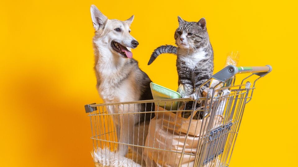 Pet food prices: Which U.S. states are seeing the biggest increases and drops