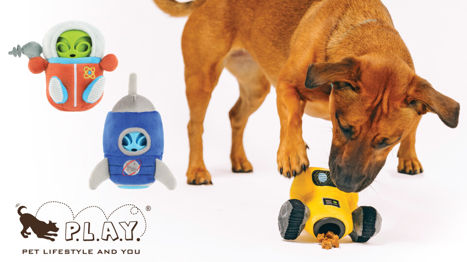 Double the fun with P.L.A.Y.’s Alien Buddies: 2-in-1 toys for interstellar play!