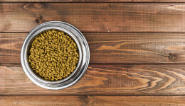 The physical quality of dry pet food