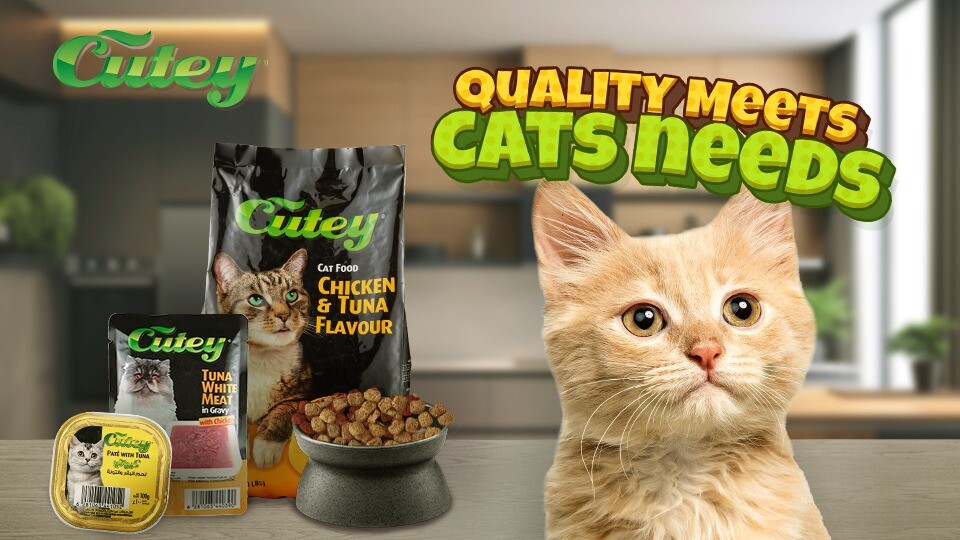 Introducing Cutey: where quality meets cats needs