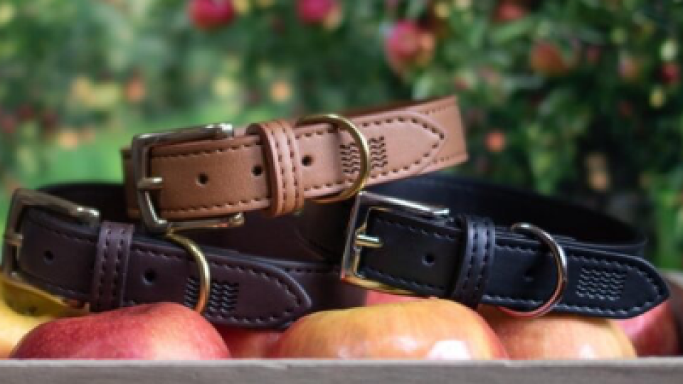 ‘Groundbreaking’ Vegan Dog Leashes Are Strong Like Leather, But Made From Apples