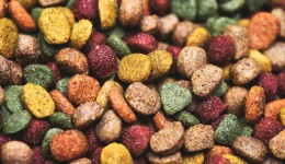 Batch-driven optimization streamlines costs in pet food manufacturing