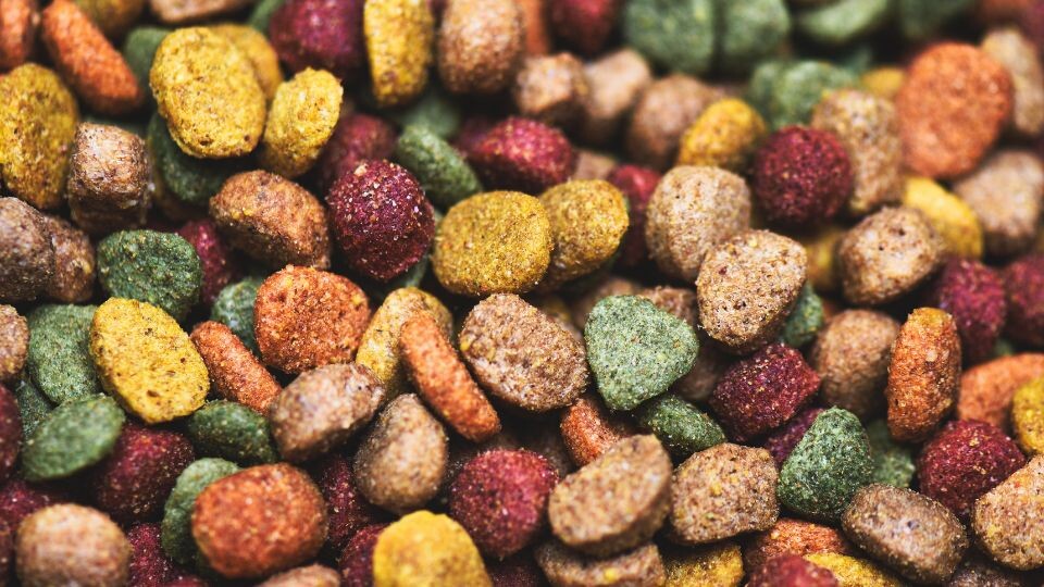 Batch-driven optimization streamlines costs in pet food manufacturing