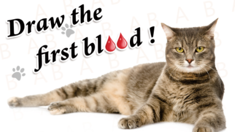 Feline Blood Typing Test