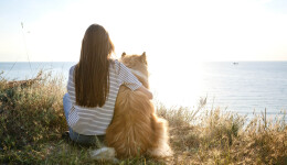 Survey results: How sustainability-conscious are pet parents?