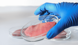 Lab meat could be the next thing for pets