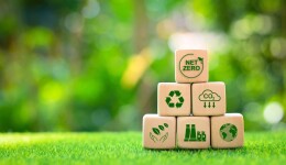 Pet Sustainability Coalition: helping businesses to reduce their environmental impact