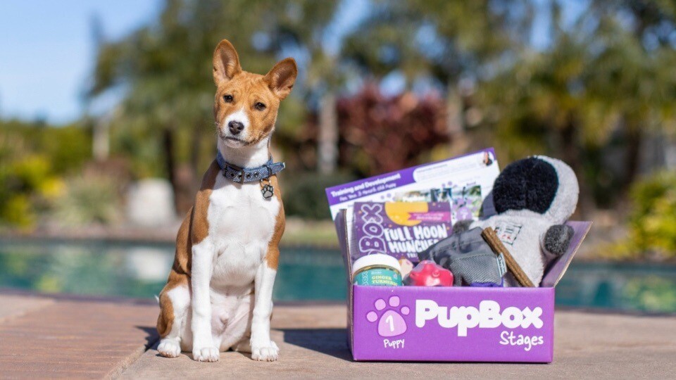 PupBox: Petco’s subscription box has been acquired