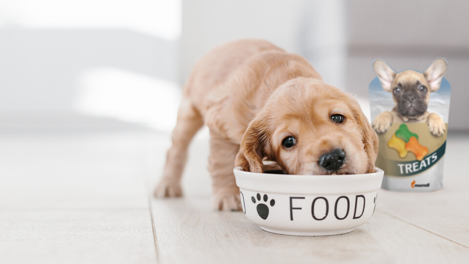 Market trends that are changing the way we package pet food
