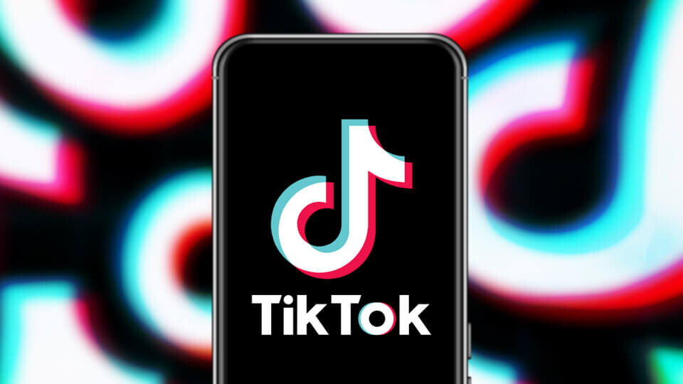 TikTok ventures into selling pet products