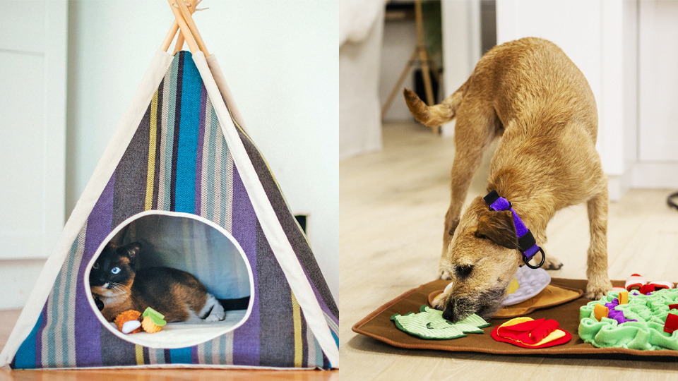 Play Pet Brands
