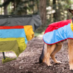 Scout & About Outdoor Adventure Gear